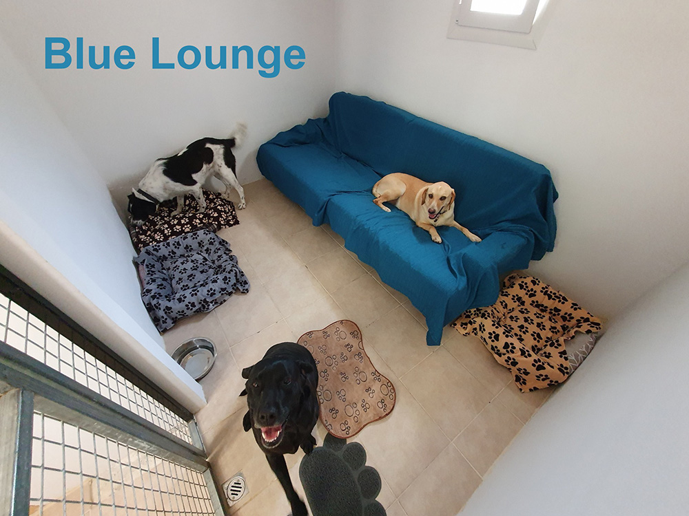 Blue Lounge