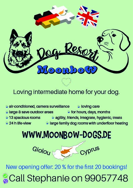 Flyer - Dog Resort Moonbow