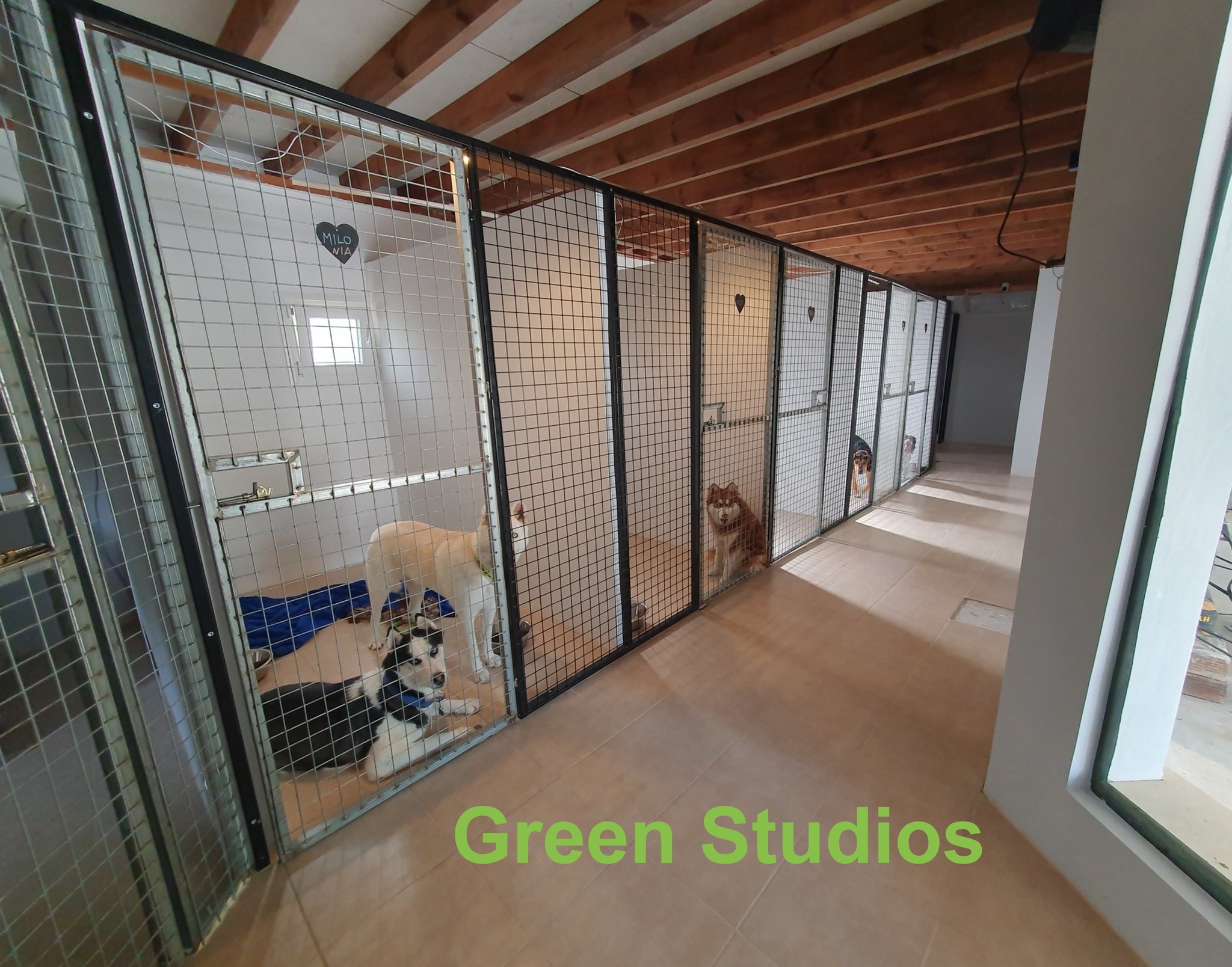 Green Studios