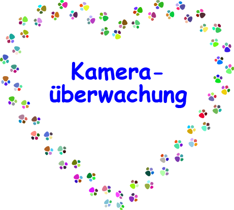 Kameraüberwachung